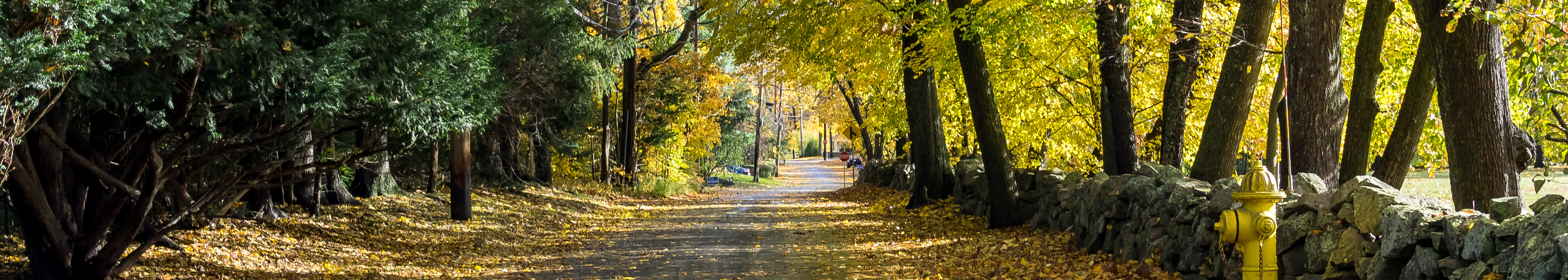 Shutterstock 1222744948